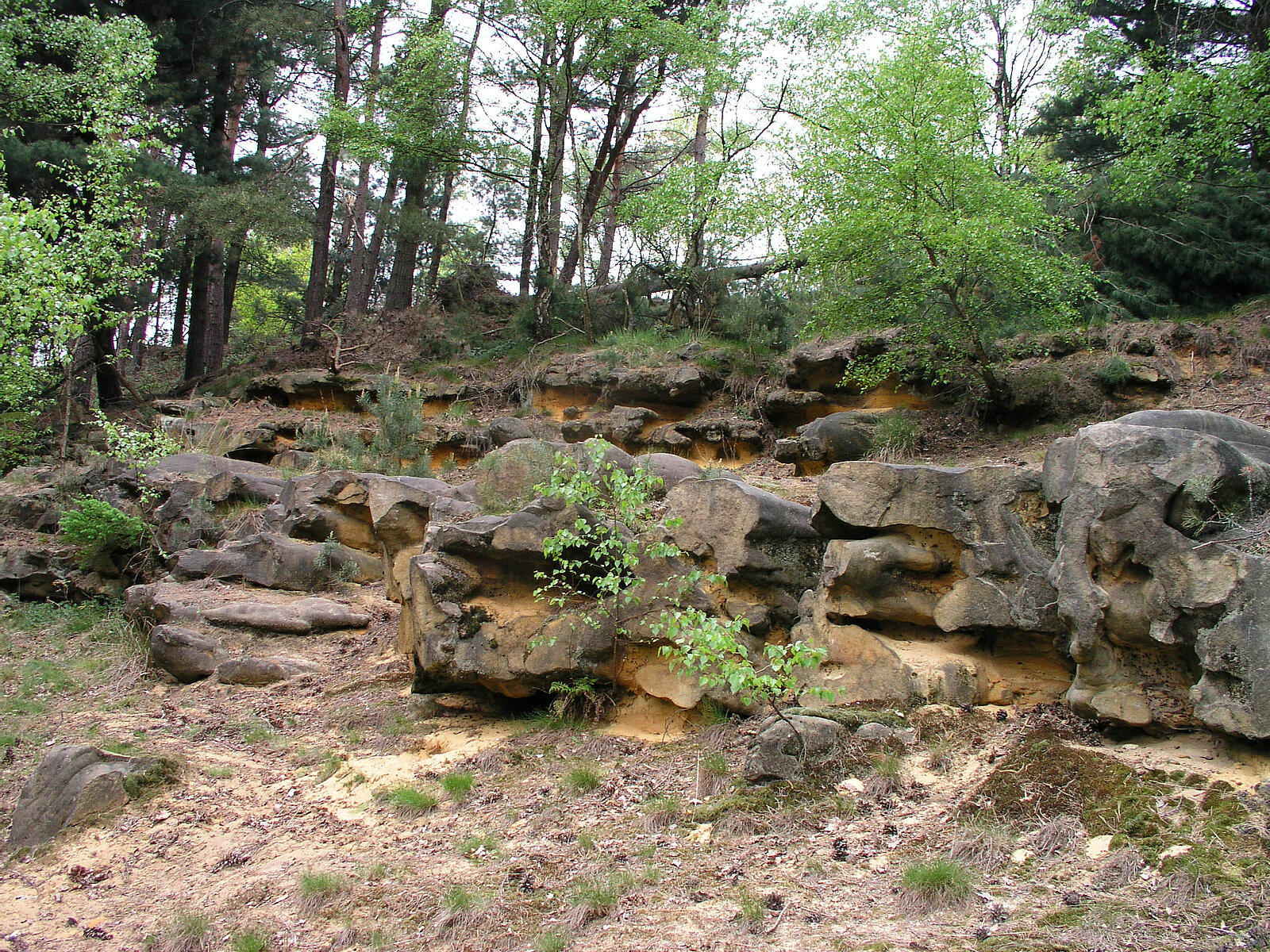 rundlich rot-gelb-graue Gesteine im Wald