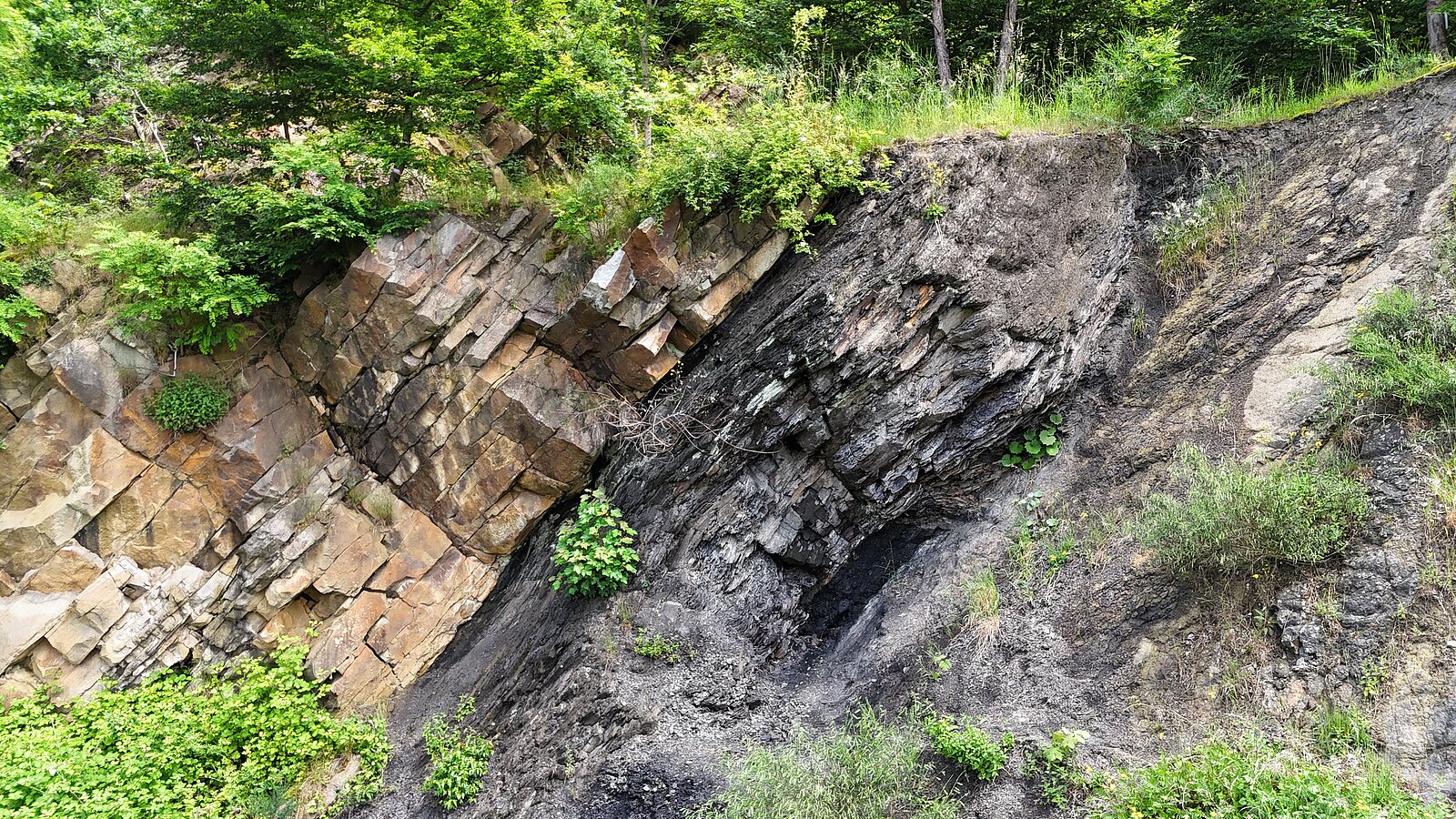 dunkle Gesteinsschicht