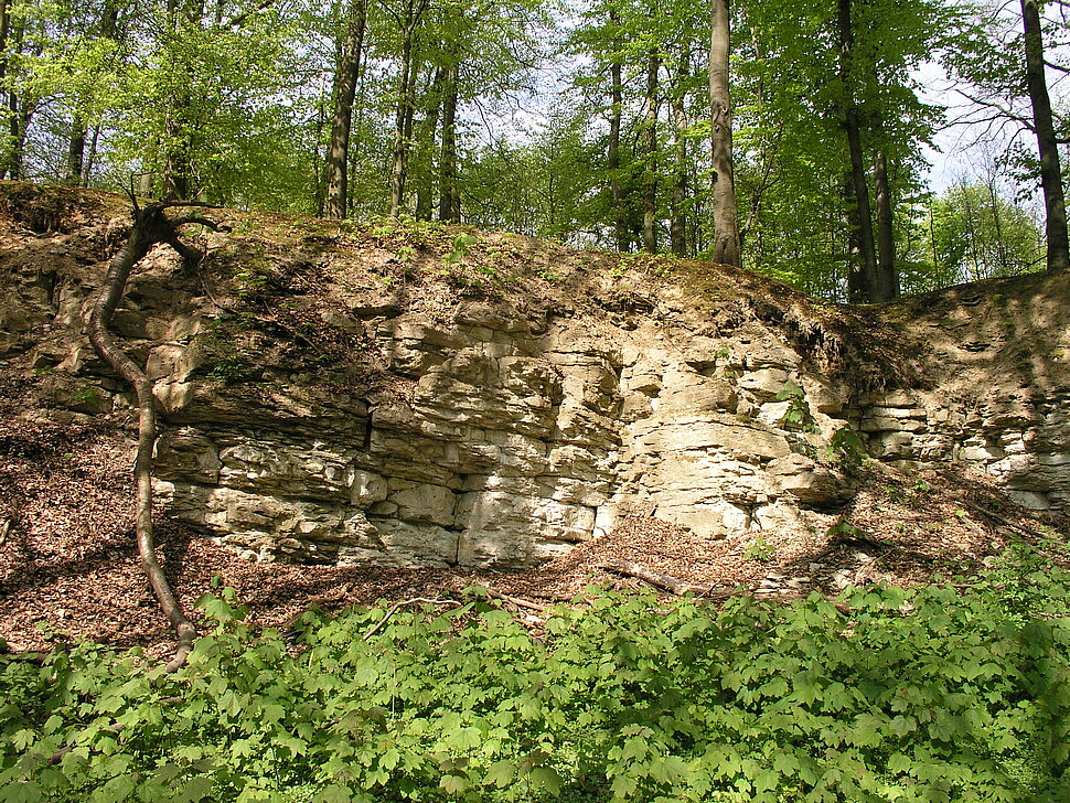 Felswand mit hellen Gesteinen